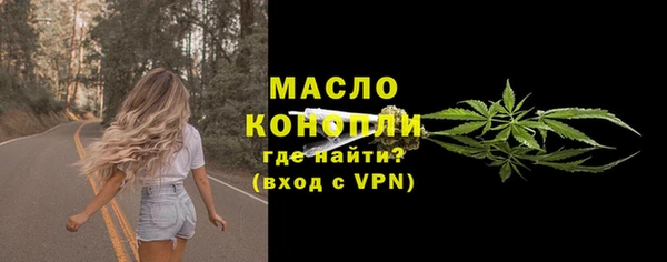 сатива Беломорск