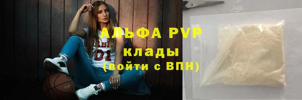 сатива Беломорск