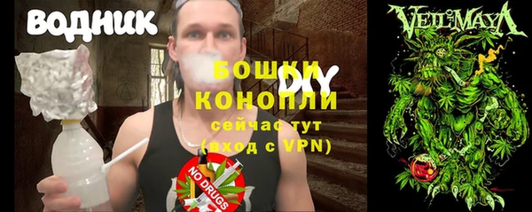 сатива Беломорск