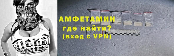сатива Беломорск